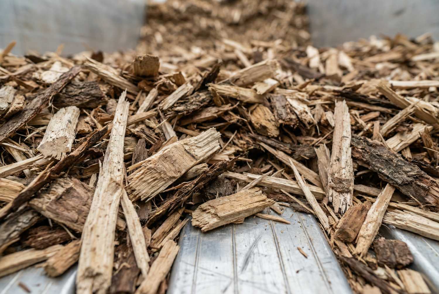 Biomassa in walking floor trailer